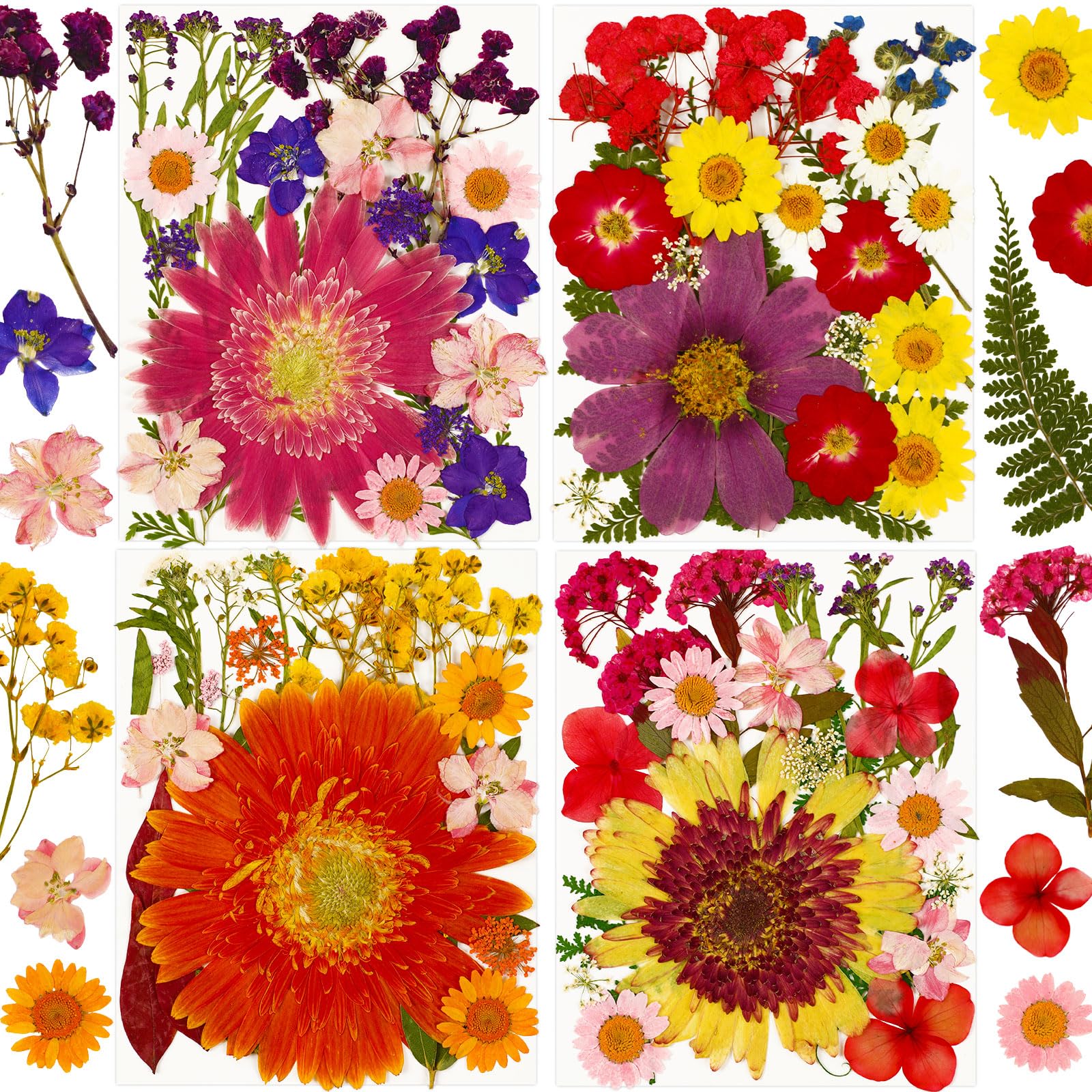 Augshy Pressed Dried Flowers, 92Pcs Real Natural Dried Flowers for Resin Molds Big Colorful Dry Pressed Floral for Crafts DIY Jewelry, Soap Making, Scrapbooking, Candle, Epoxy Resin Supplies
