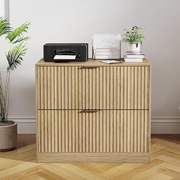 Horizontal File Cabinet with 2 Drawers & 3-Level Adjustable Rails,Natural