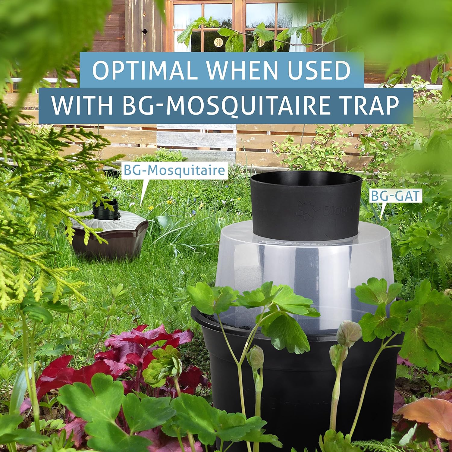 Biogents GAT2 Mosquito Trap – Non-Electric, Eco-Friendly Egg-Laying Trap for Tiger Mosquito Control – 2 Traps with 10 Sticky Cards for Outdoor Breeding Prevention