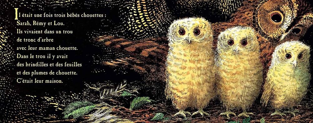 Bébés Chouettes: Waddell, Martin, Benson, Patrick, Finkenstaedt