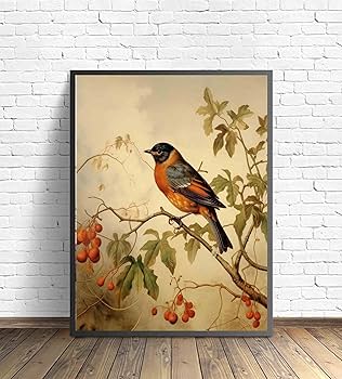 Amazon.com: Robin Bird Vintage Poster Art Print Retro Wall Art