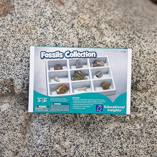 Miniatura 6 de Educational Insights Fossil Collection, a partir de 8 años, (9 piezas con bandeja de almacenamiento)