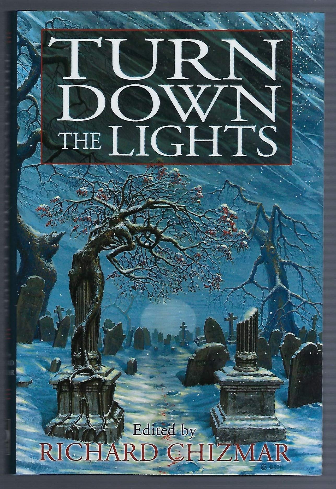 Buy Turn Down the Lights — BookShops.in