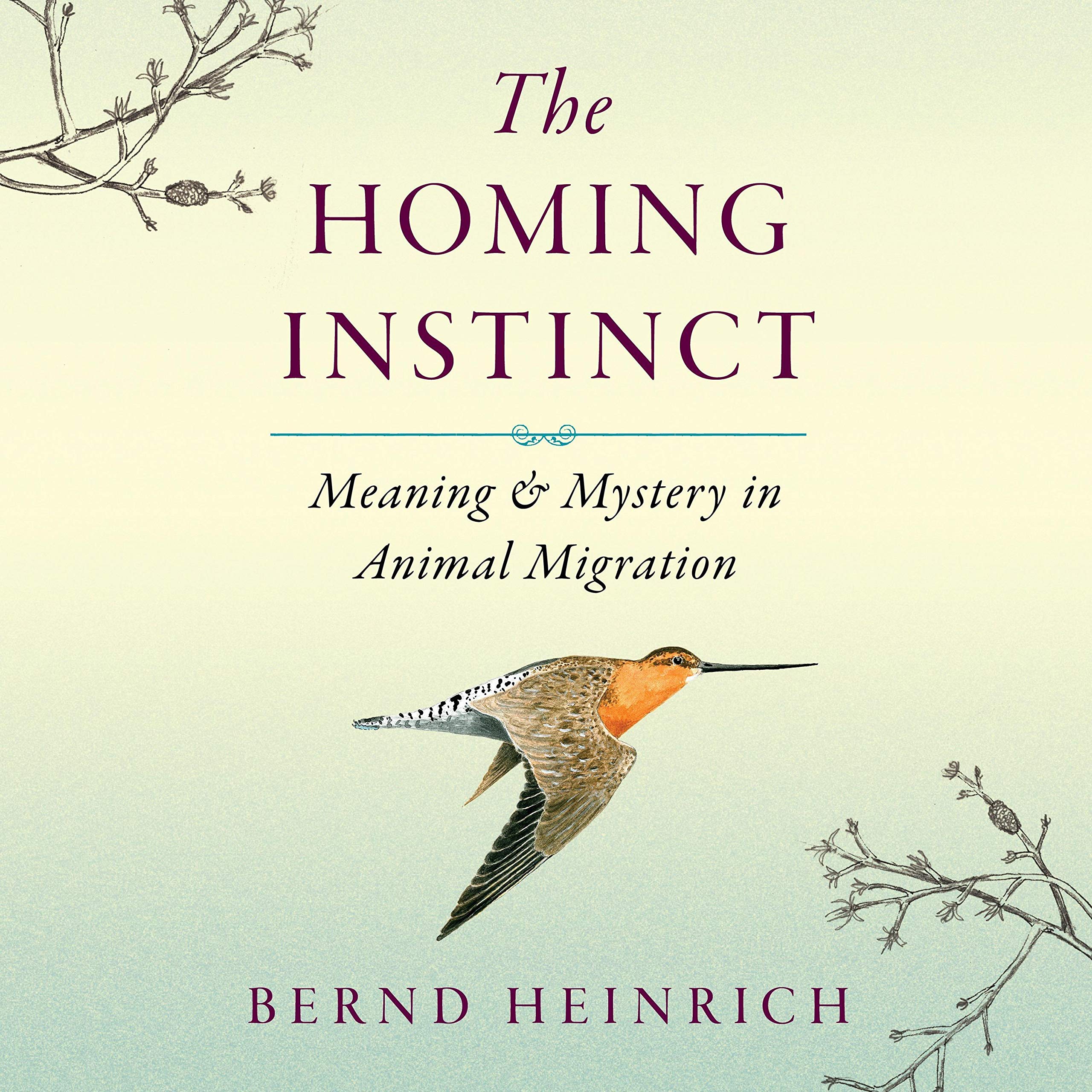 Cover art for The Homing Instinct