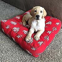 Vista 4 de College Covers Nebraska Cornhuskers - Almohada de suelo, 24 x 24 pulgadas, multicolor