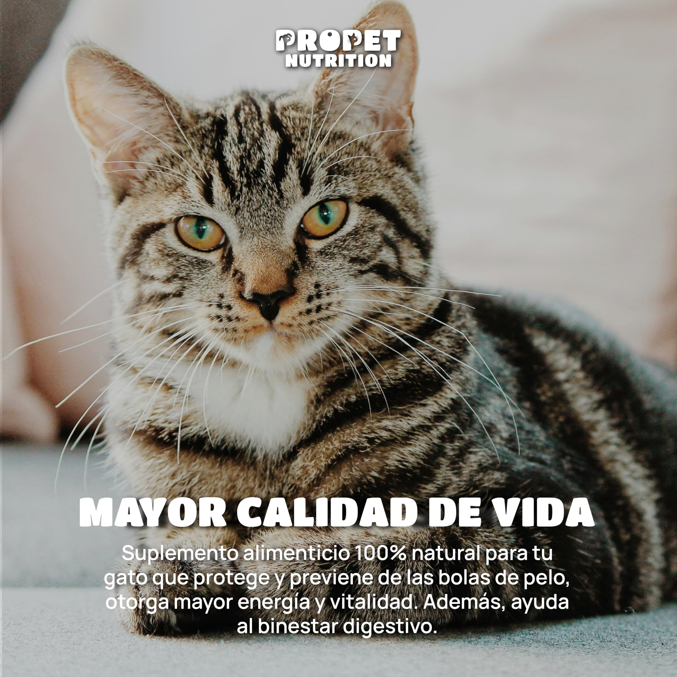Malta para Gatos + Taurina + Vitaminas. Triple Acción. Elimina y Previene Bolas de Pelo. Óptima Salud Intestinal. 120 ML. Impulsa Bienestar General. Enriquecido con Vitaminas para Gatos. Malta Gatos