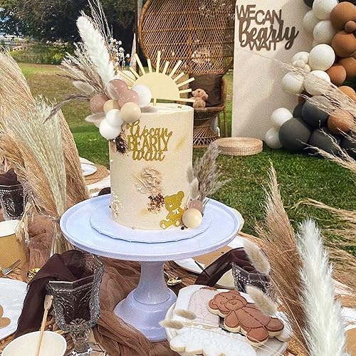 Miniatura 4 de 51 adornos bohemios de madera para tartas de sol, mini bolas, decoración para tartas de pampas, varios pastos secos de pampas, cola de conejo,