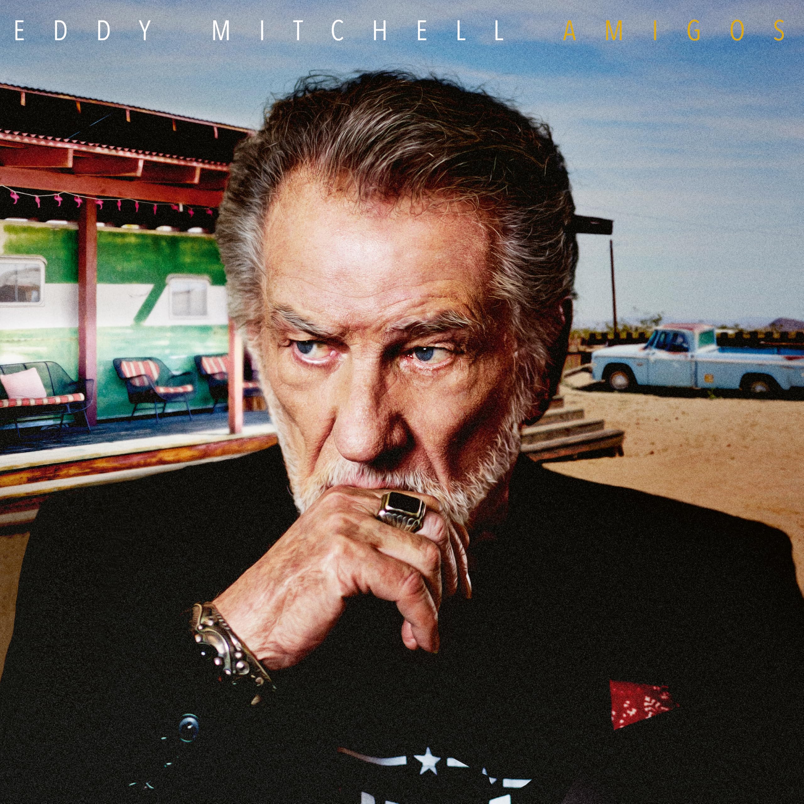 Amigos [VINYL]