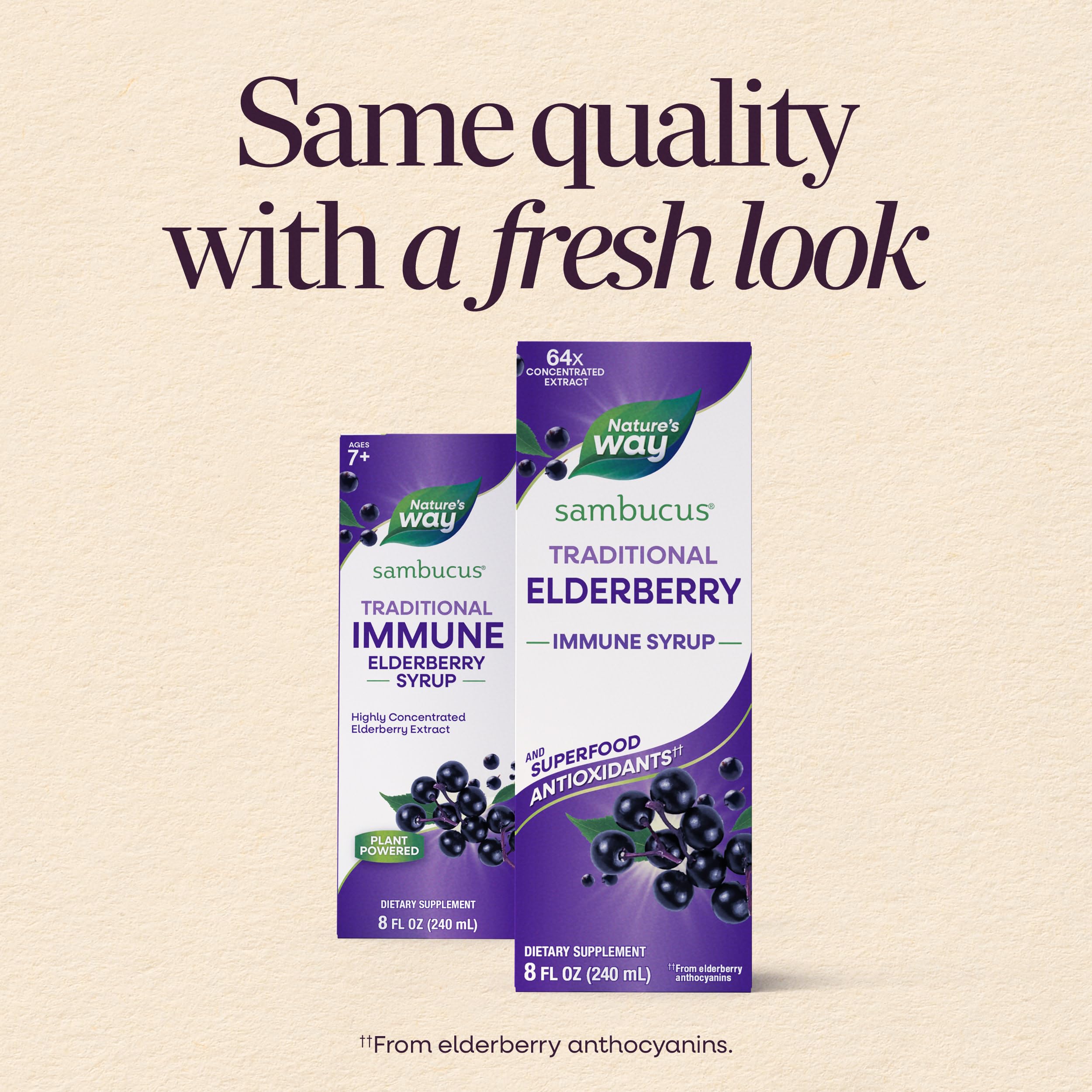 Nature's Way Sambucus Traditional Elderberry Immune Support* Syrup, 8 fl oz — Amazon image 2