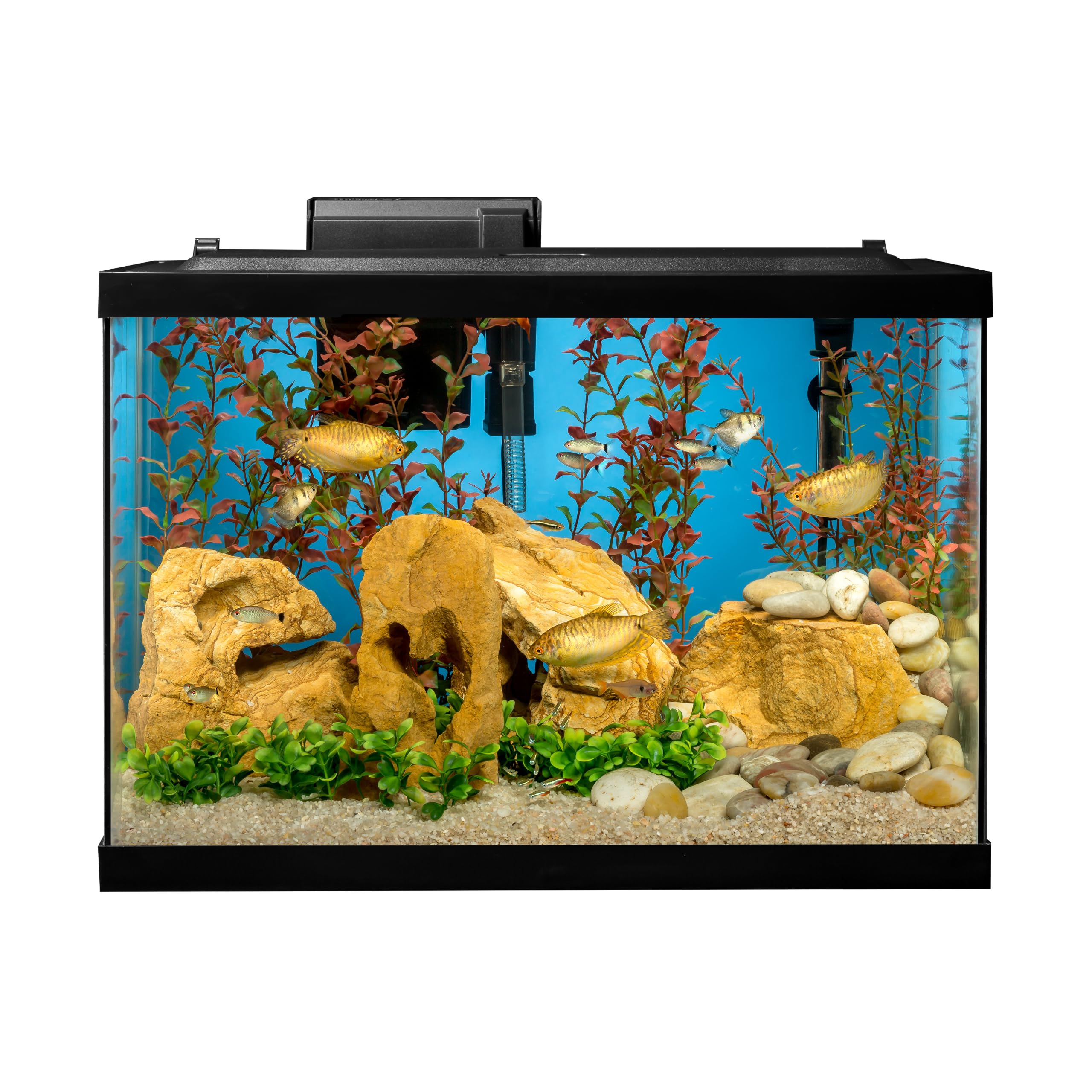Tetra Complete 20 Gallon Fish Tank Kit for Freshwater &amp; Saltwater Fish