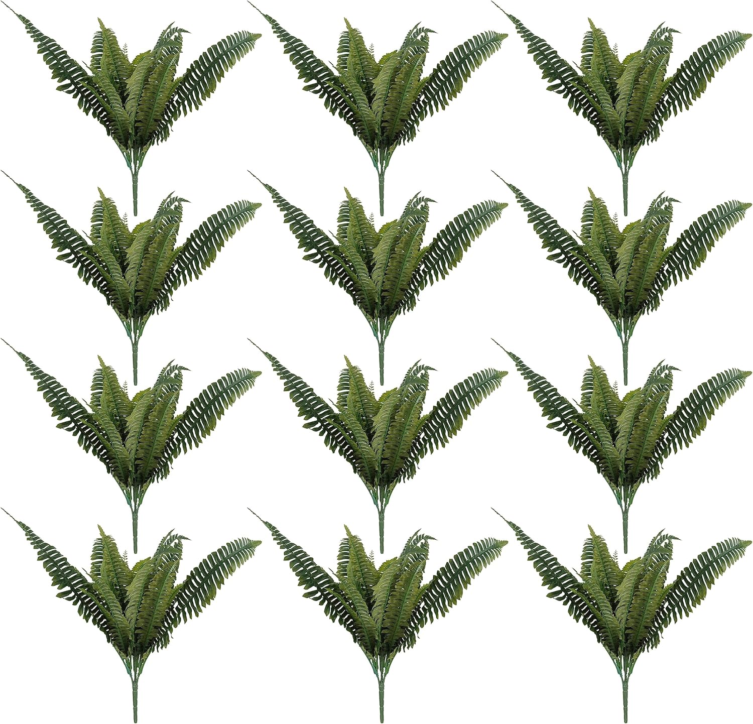 Ashland Boston Fern Bush, 16 Pack