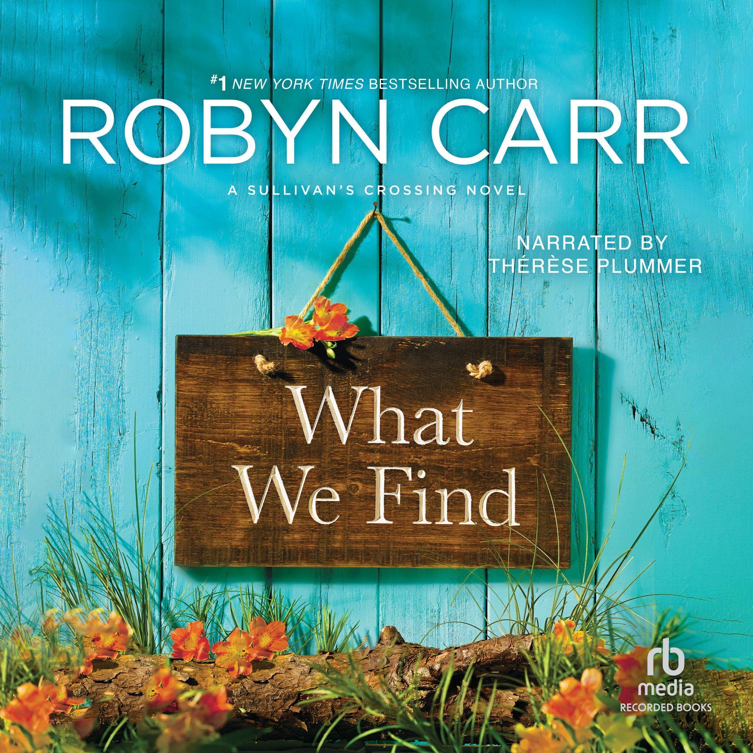 Cover art for What We Find