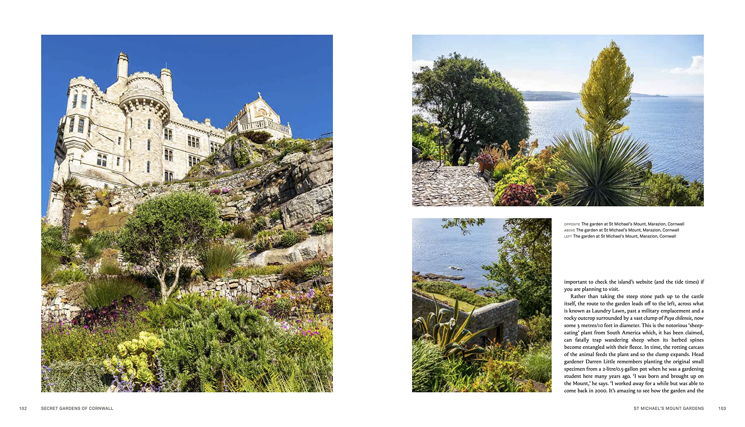 Secret Gardens of Cornwall: A Private Tour - Image 5