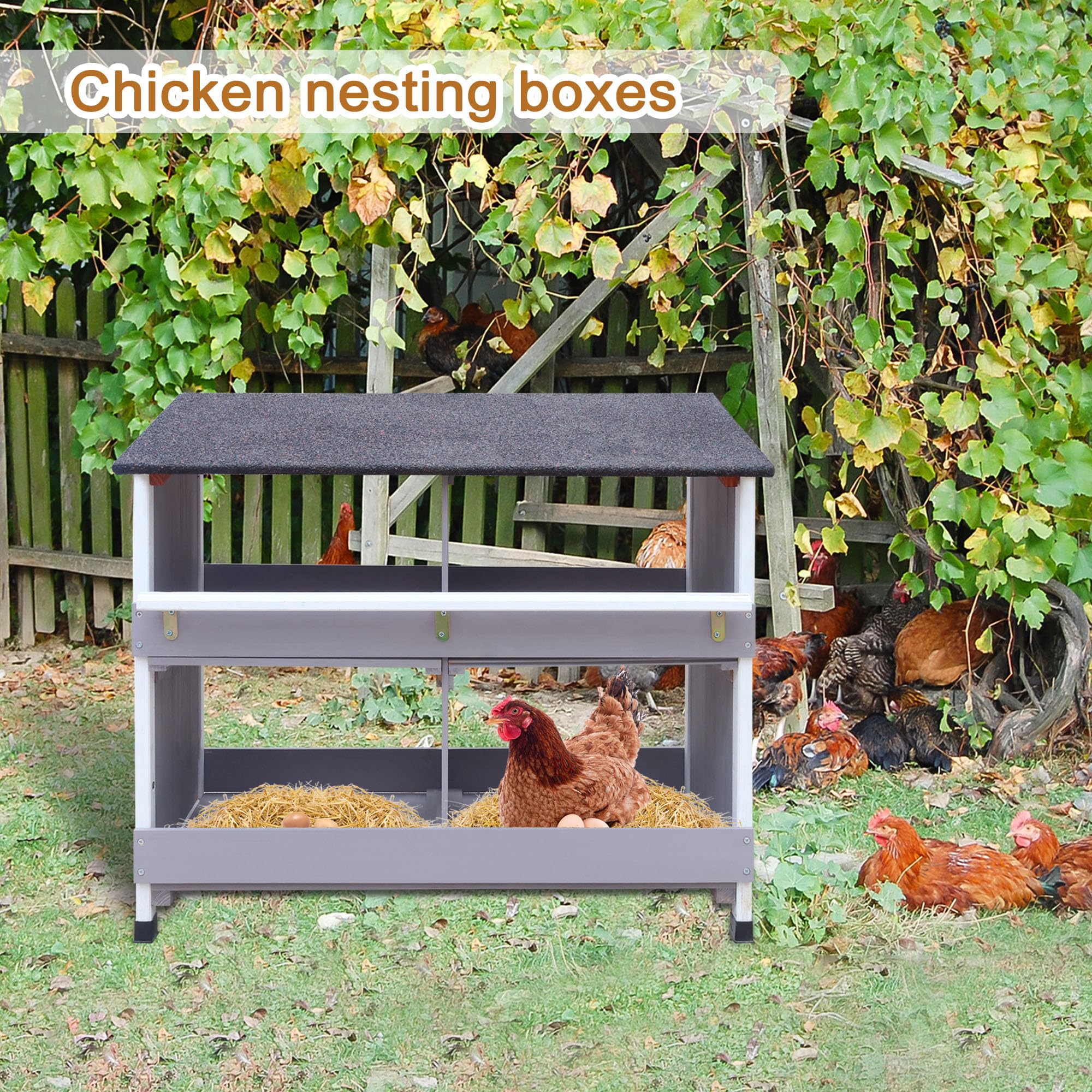 Nido para pollos, con base inclinada, con orificios de ventilación, fácil limpieza, 4 compartimentos, 79 x 52 x 43,5 cm, cámara de puesta