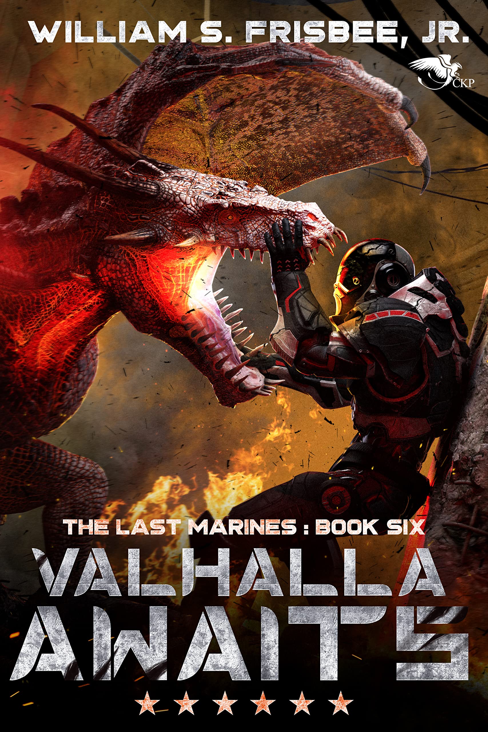 Valhalla Awaits (The Last Marines Book 6)