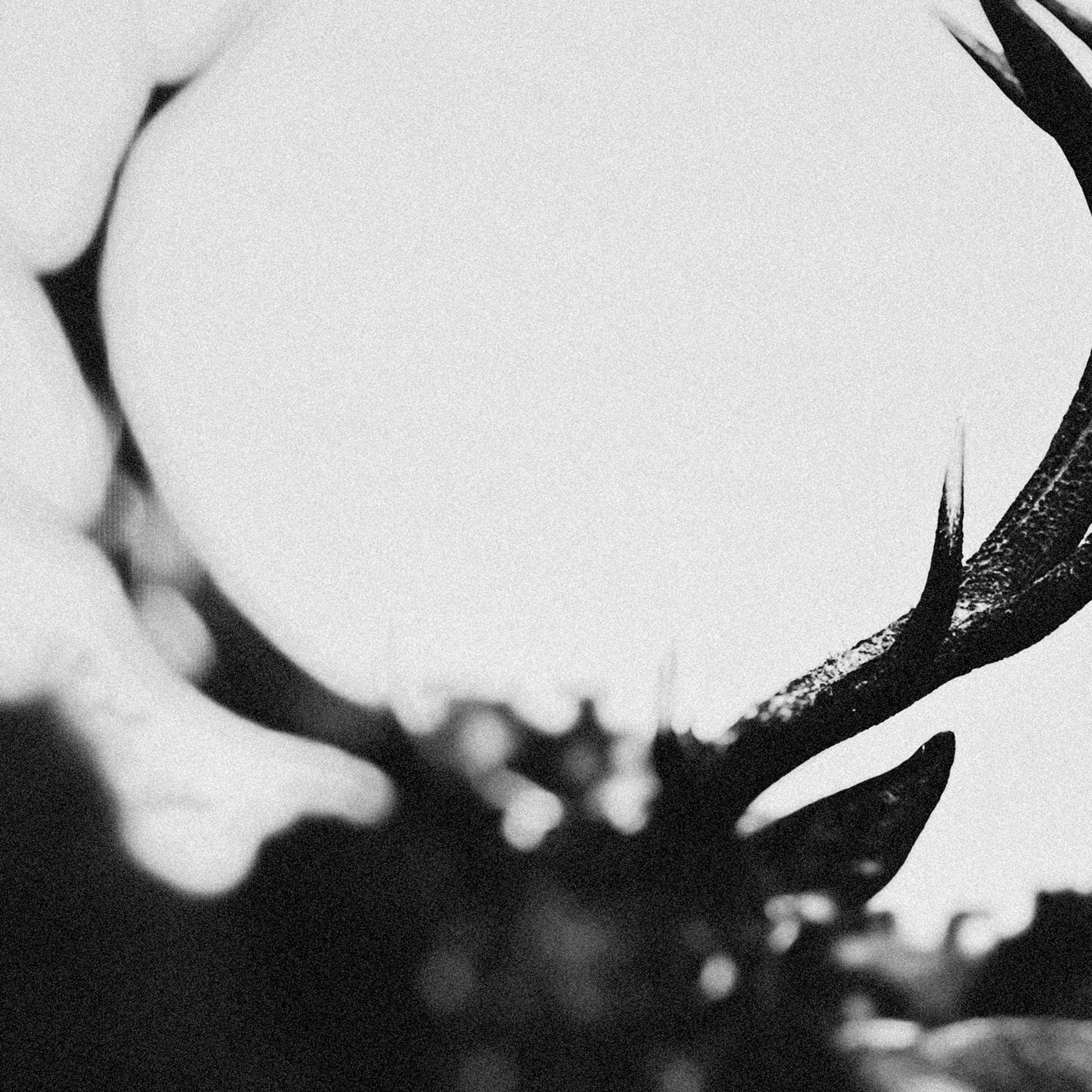 Ihsahn (Orchestral Version) [VINYL]