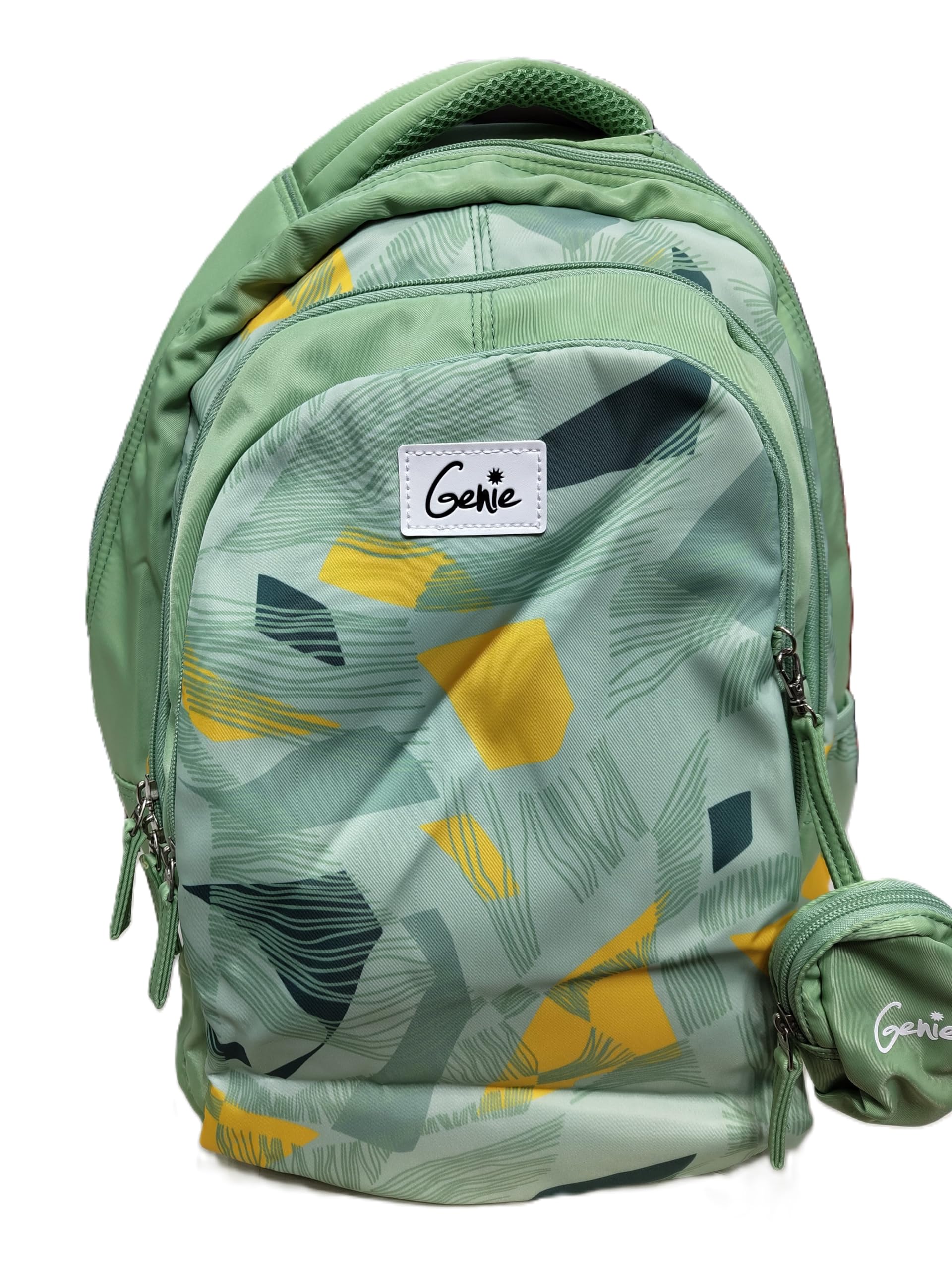 Genie Sage Ash Green in Color Laptop Backpack 19 inch (B0CST9L5ZW) Amazon Price History, Amazon Price Tracker