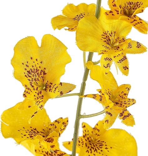 Ashland Orquídea bailarina amarilla