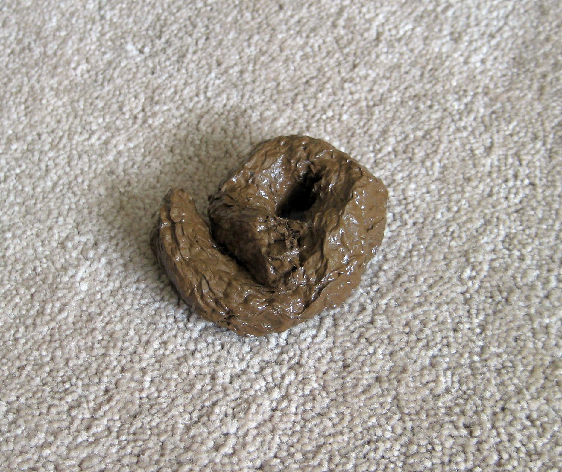 Fake Dog Poop