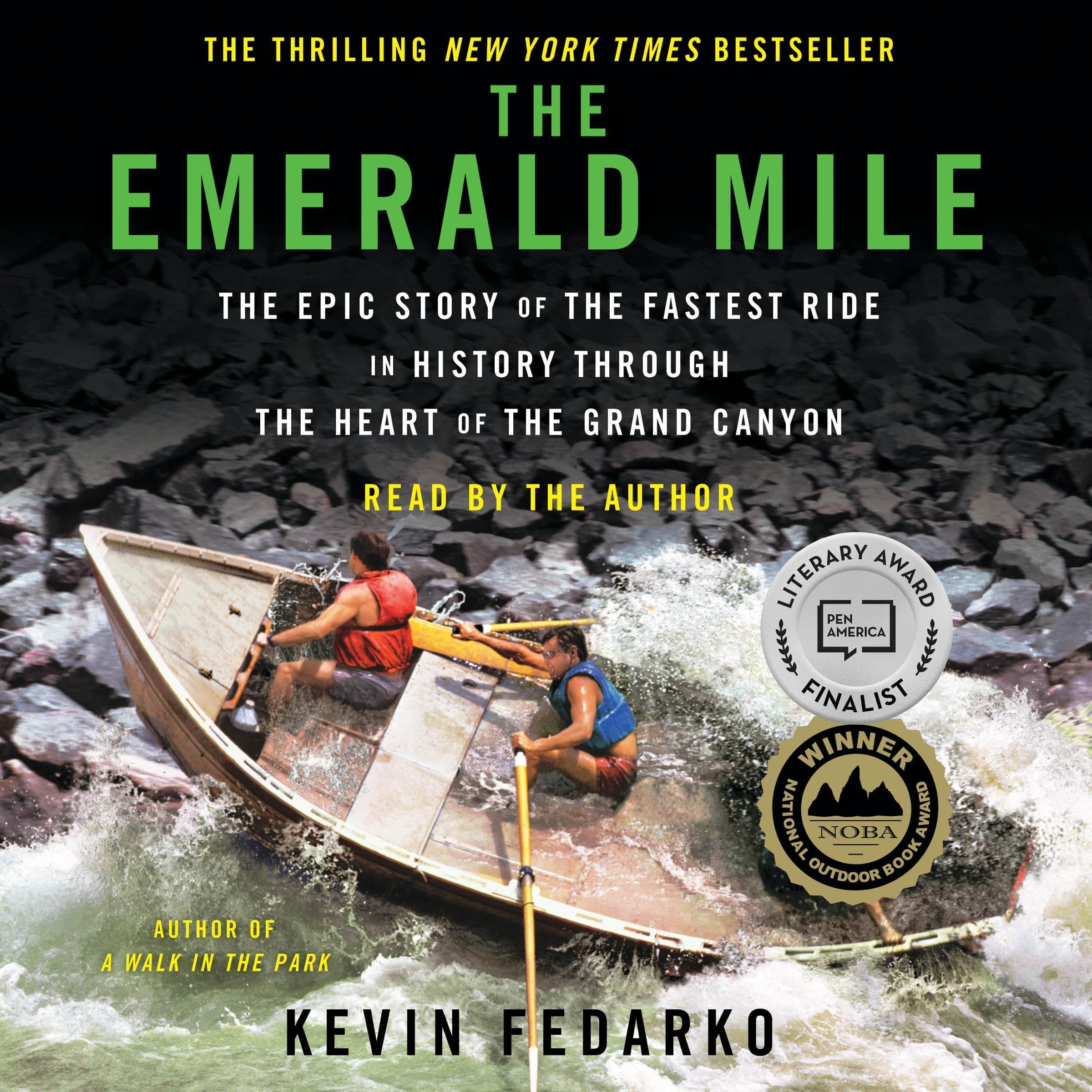 Cover art for The Emerald Mile