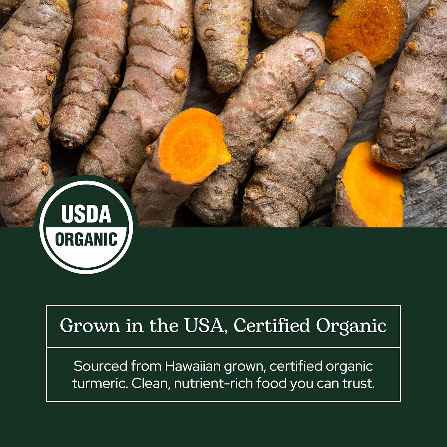 Eclectic Herb - Turmeric Powder | Joint Supplement + Musculoskeletal System Support | Dietary Supplement & Drink Mix | US-Grown, Organic, Vegan, Non-GMO (2.1 oz | 60 g)