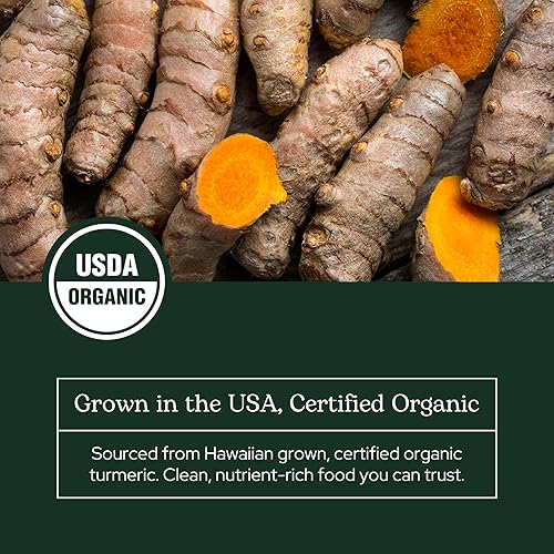 Miniatura 6 de Eclectic Institute Cúrcuma Cog Fdp 2.12 oz