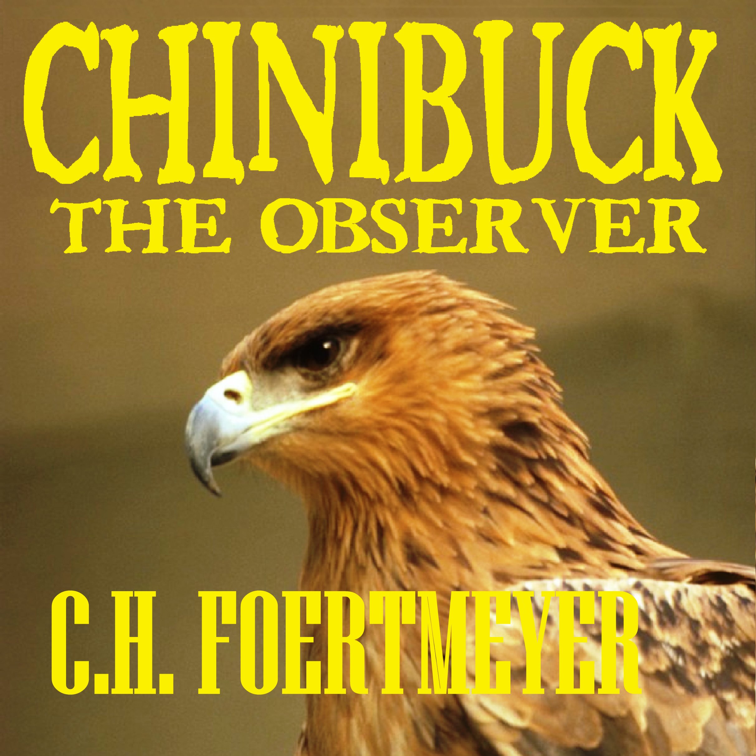 Chinibuck the Observer