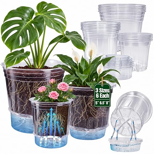 Bluepro Self Watering Pots for Indoor Plants, 8/6.5/5 Inch, 18-Pack