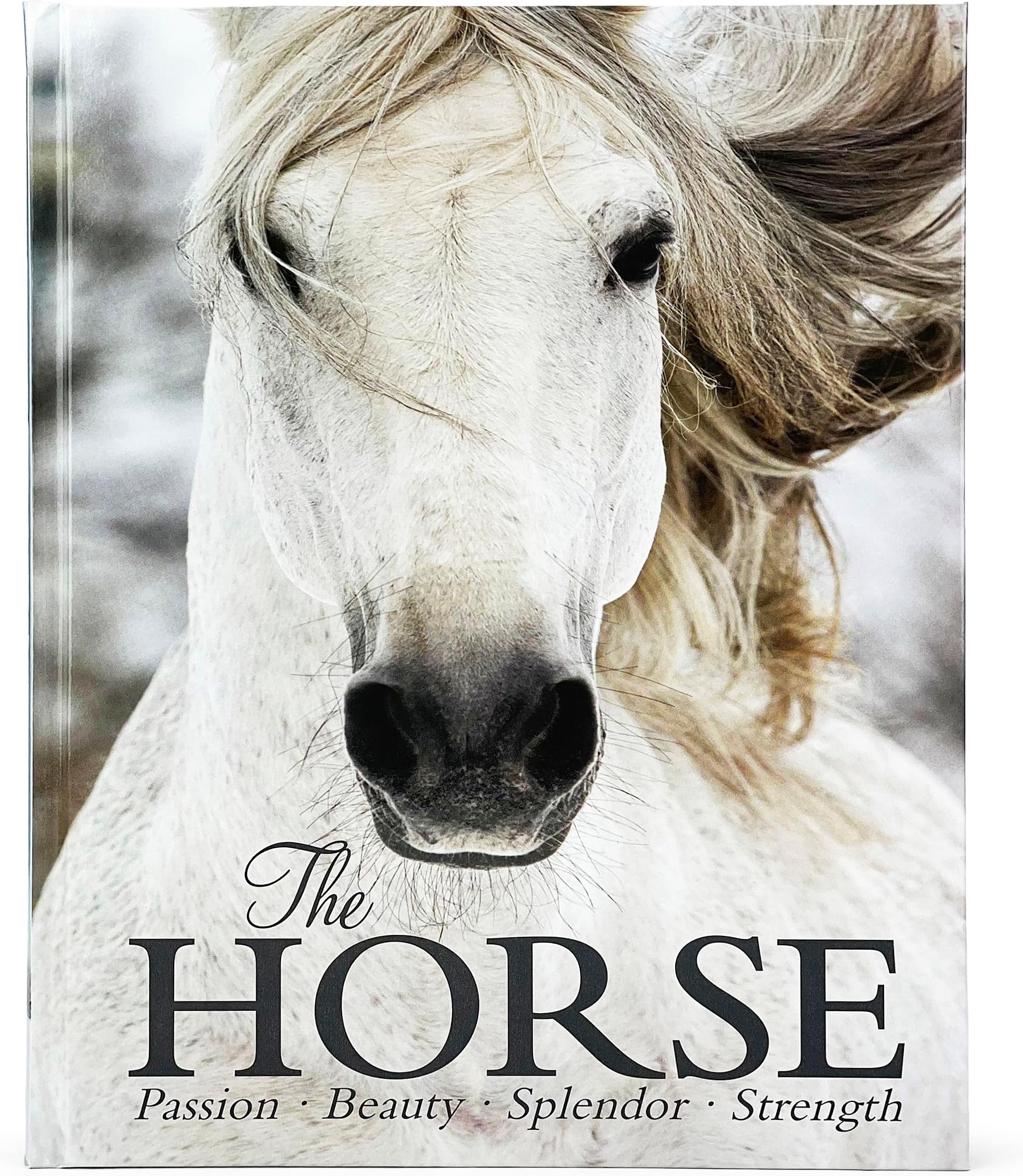The Horse