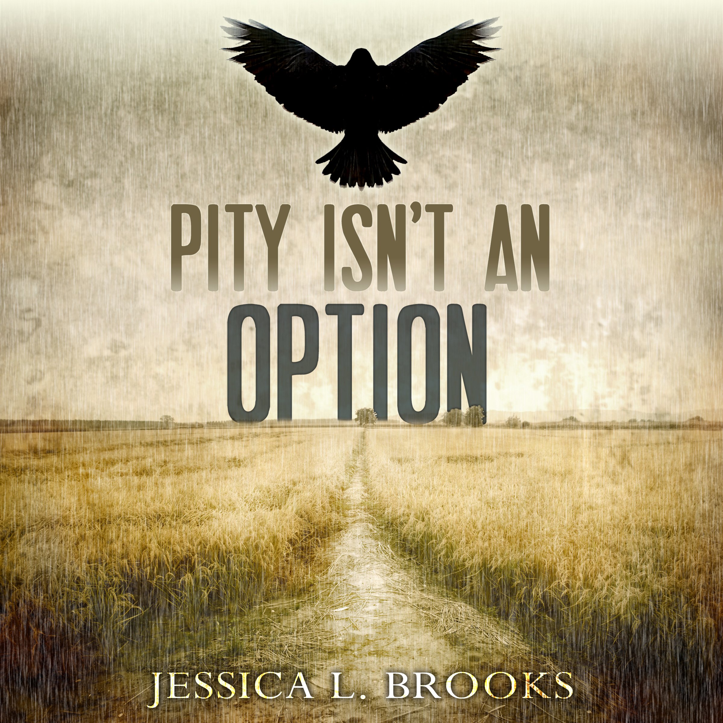 Cover art for Pity Isn't an Option
