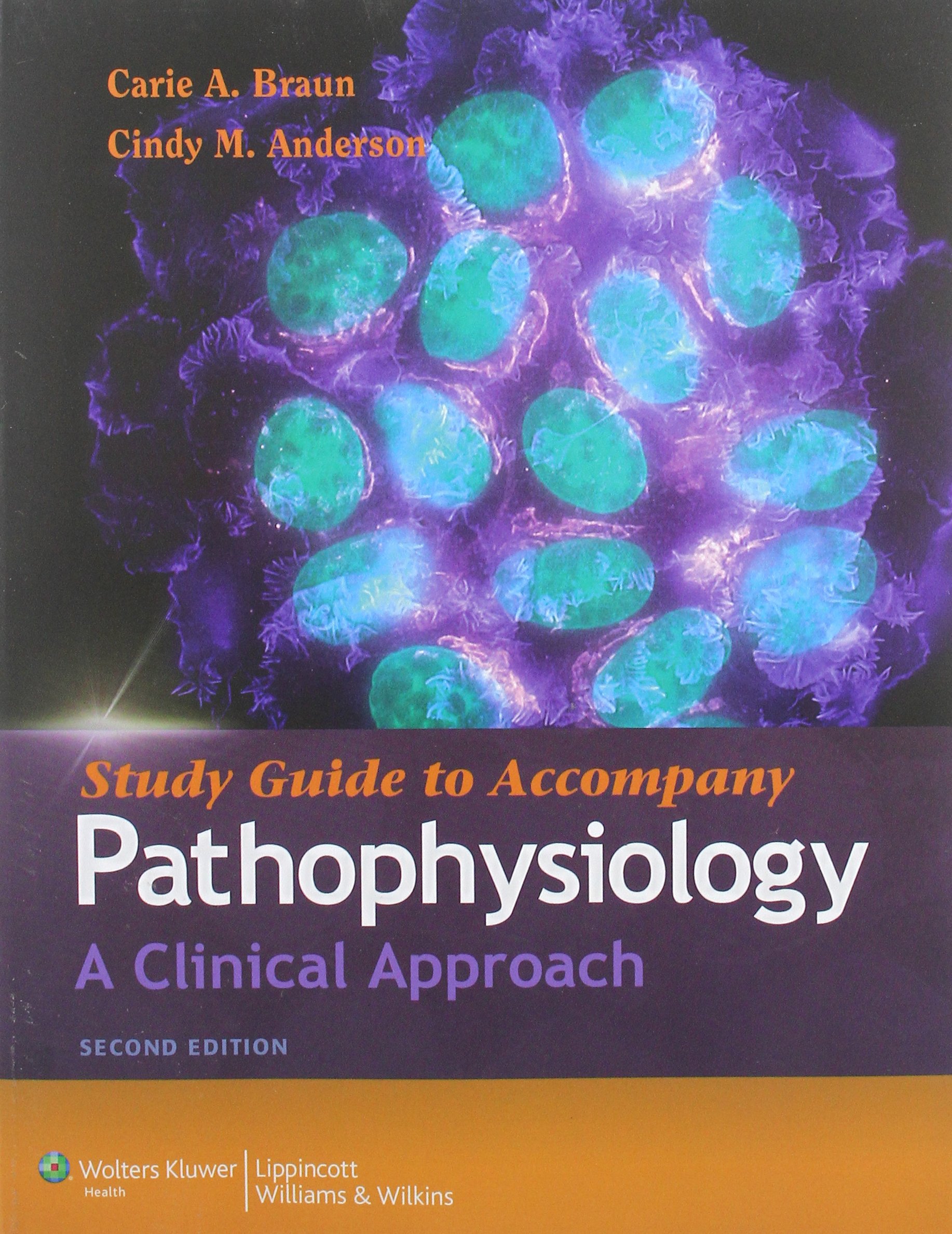 Study Guide to Accompany Pathophysiology: A Clinical Approach Study Guide Edition