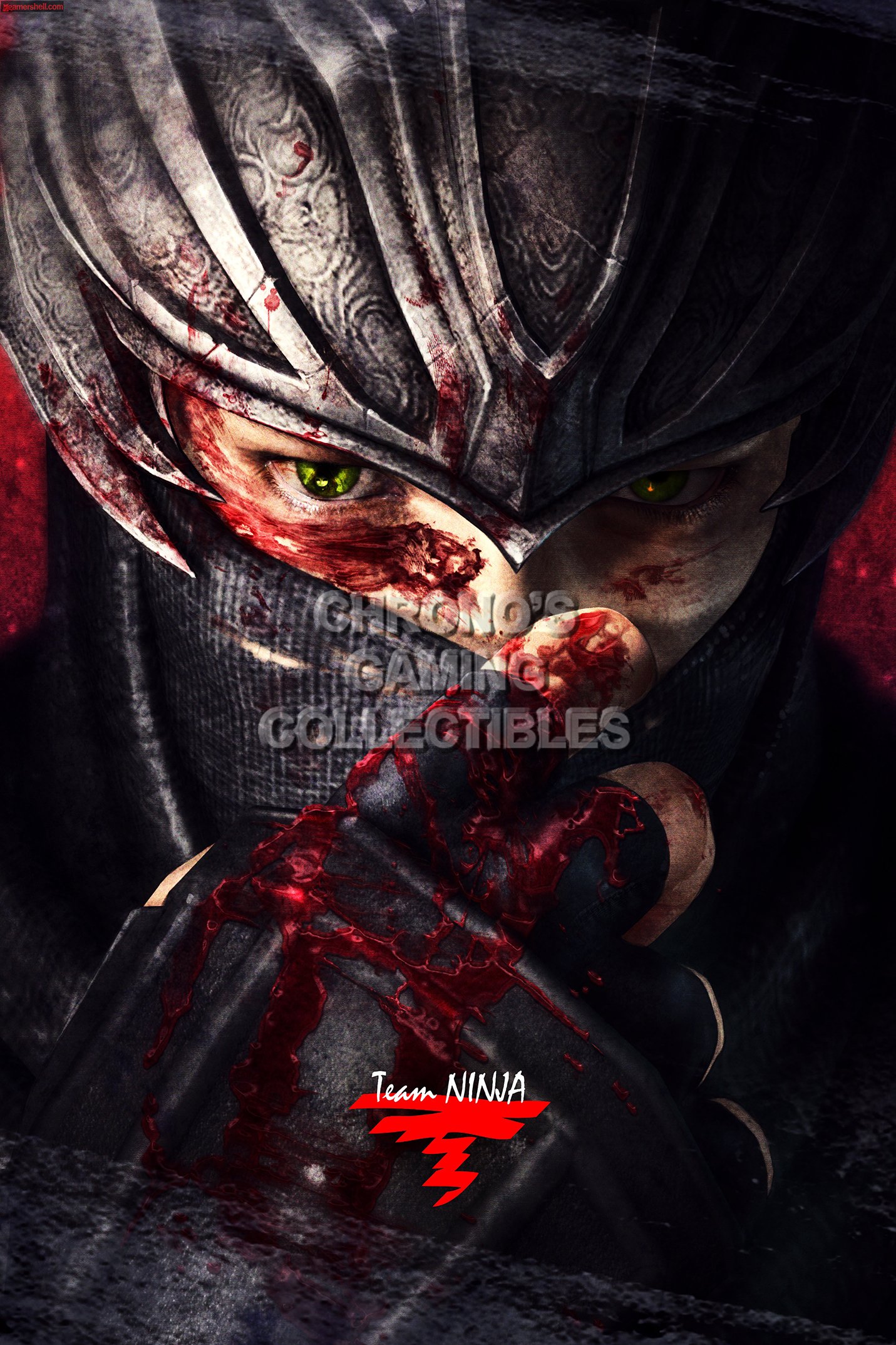 Amazon.com: PrimePoster - Ninja Gaiden 3 Razor's Edge Ryu Poster