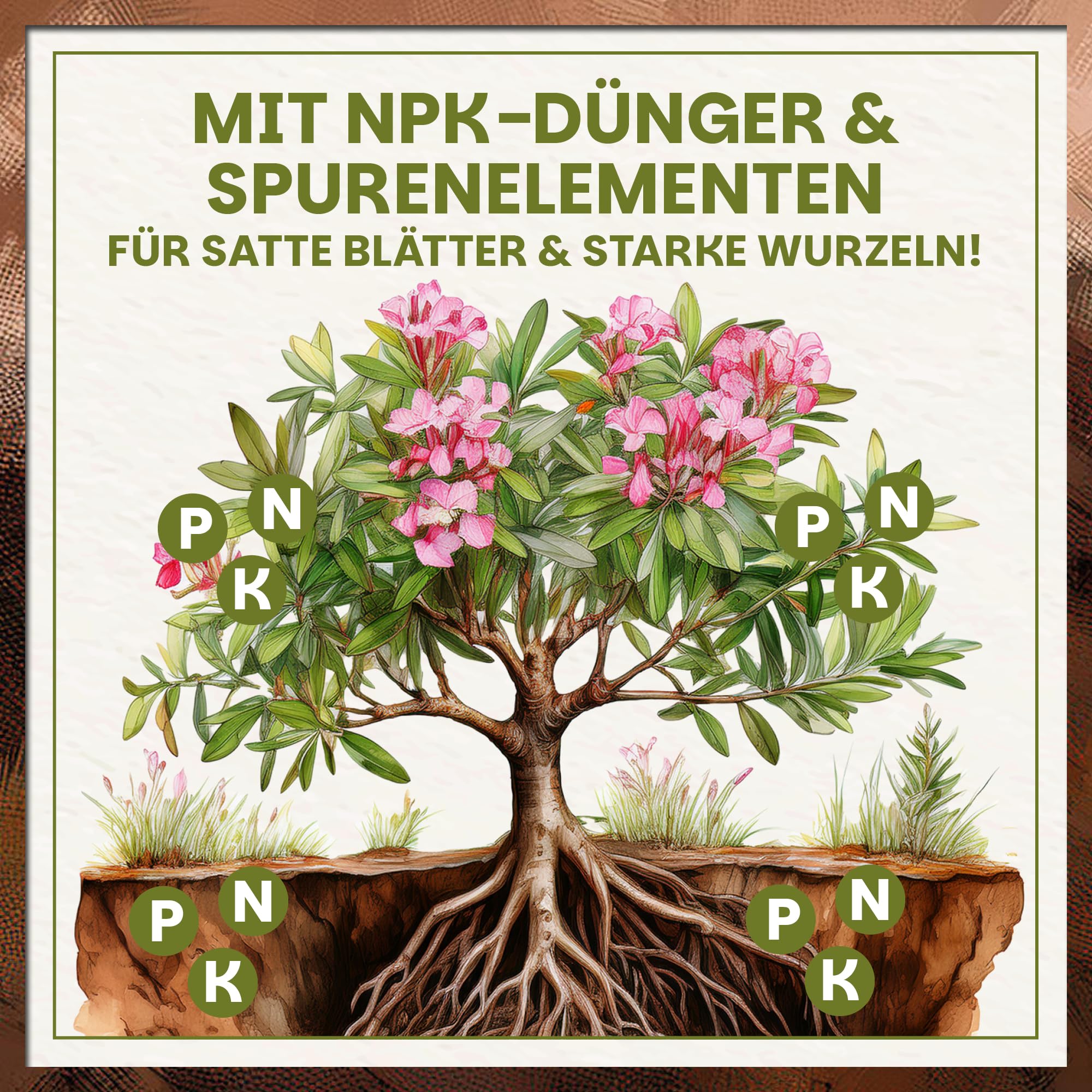 Green Home Olivenbaum- & Oleandererde 72L - Pflanzerde für Olivenbäume & Mediterrane Pflanzen | Erde mit Langzeitdünger | Perlite, Kokosfasern & Rindenhumus | Für Kübel, Hochbeet & Garten, pH 5,8