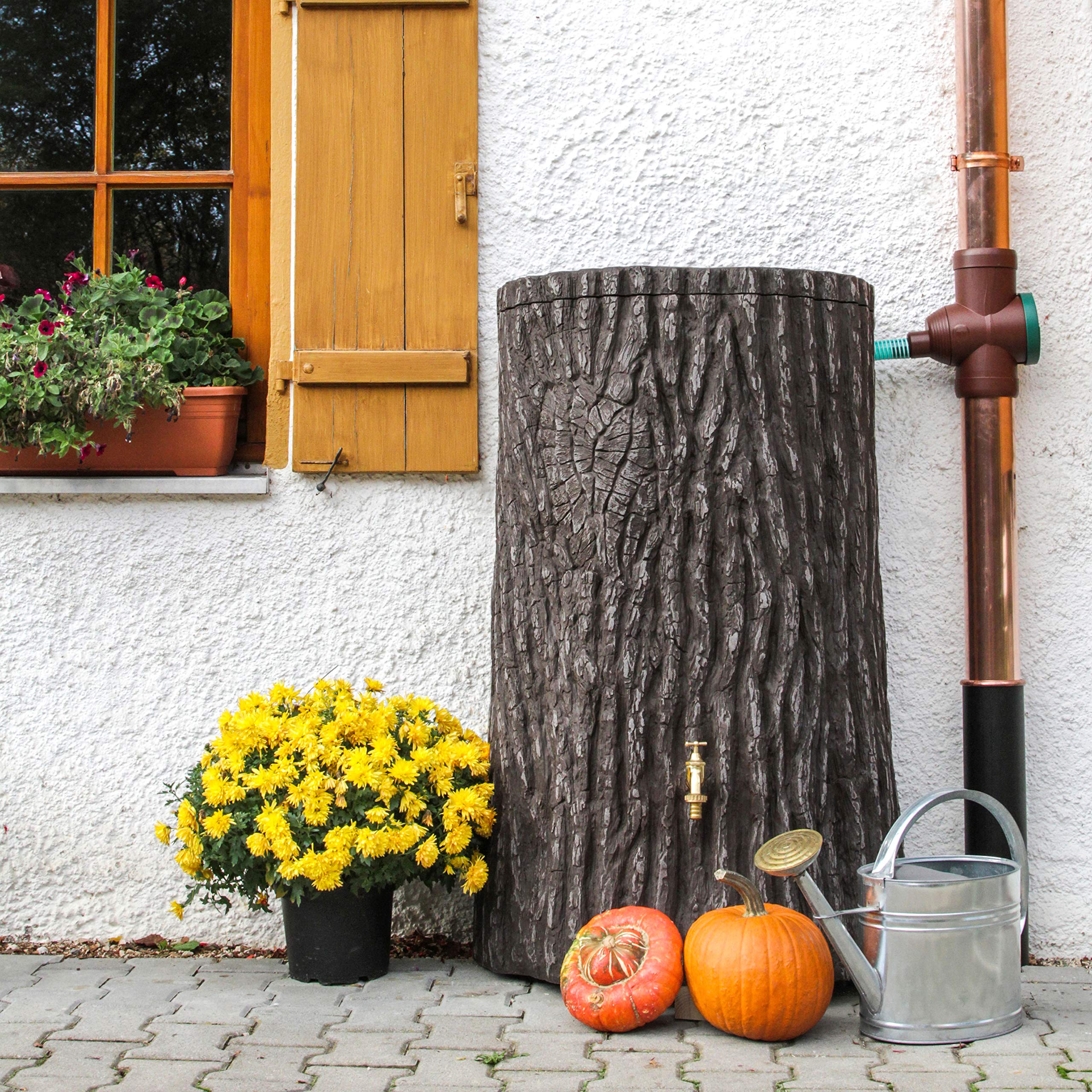 Regentonne Evergreen Lite 300 Liter braun