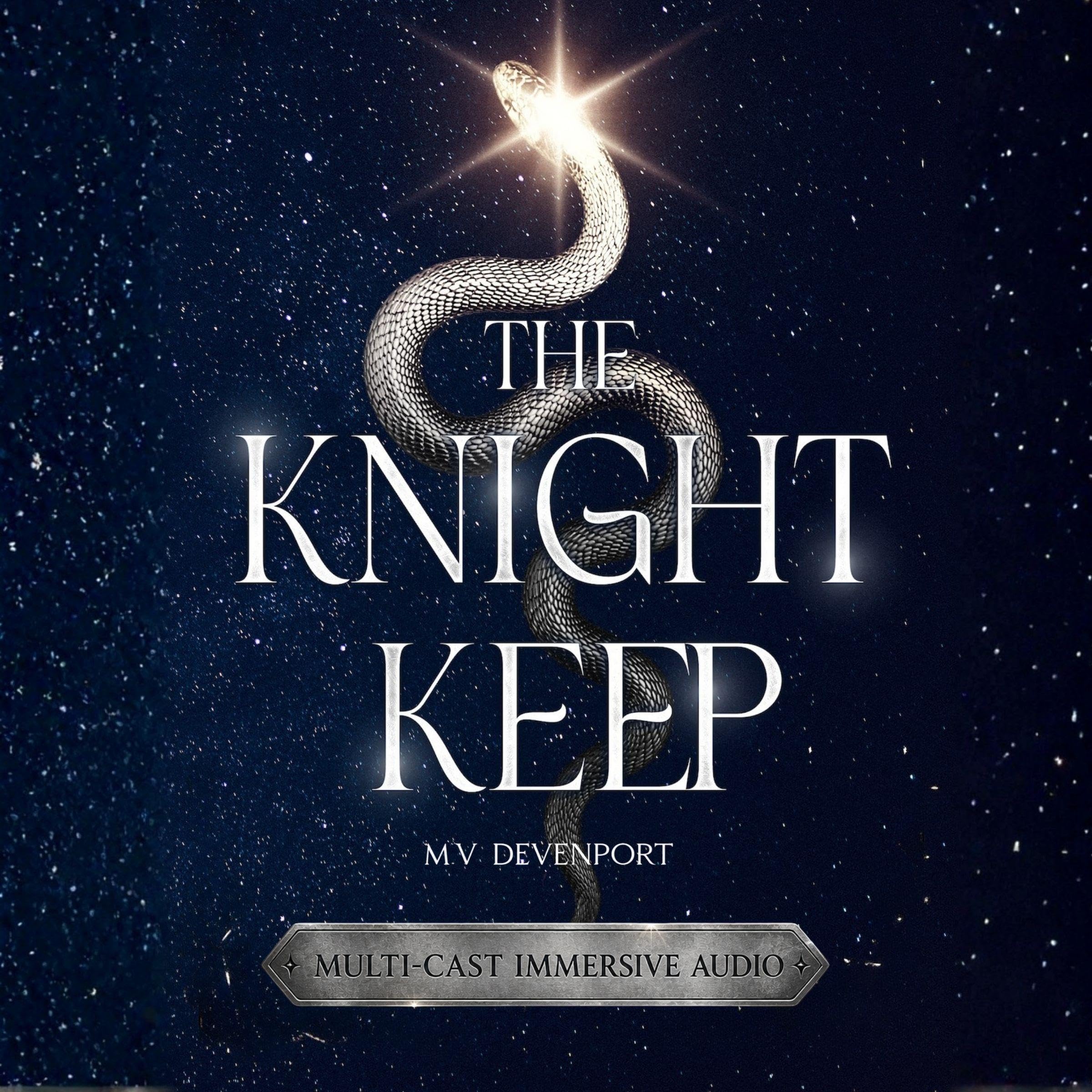 Cover art for The Knight Keep