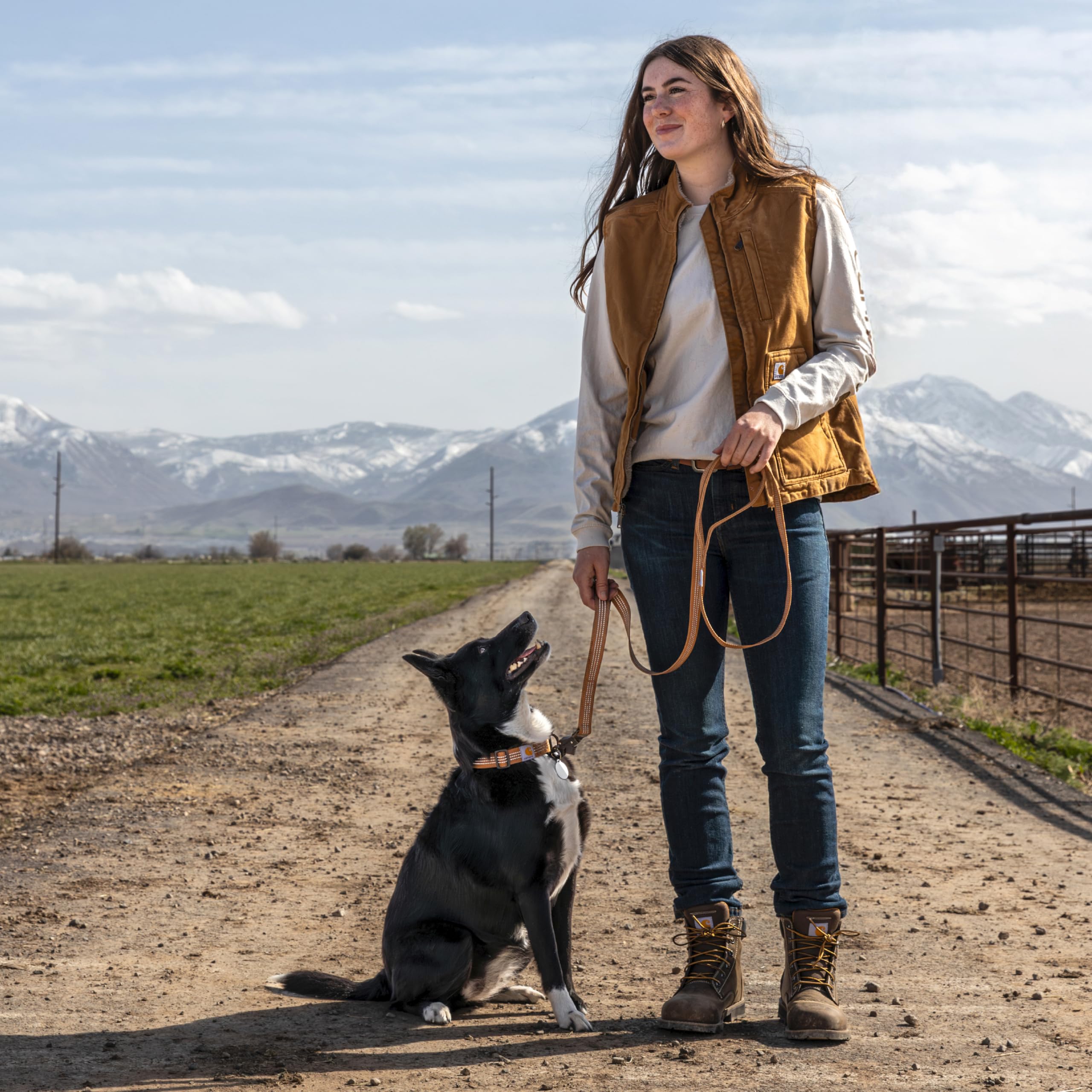 Amazon | Carhartt Gear P0000570 デュアルハンドル 犬用リード ラージ