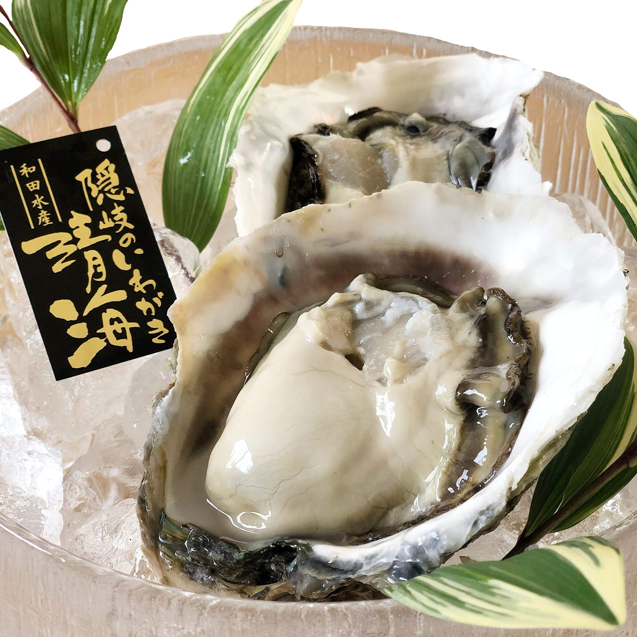 岩牡蠣　殻付き300g〜500g 9個入り一箱2.7kg以上 楽天市場】旬ものを食べ納め！出荷当日に水揚げ・発送！付き岩