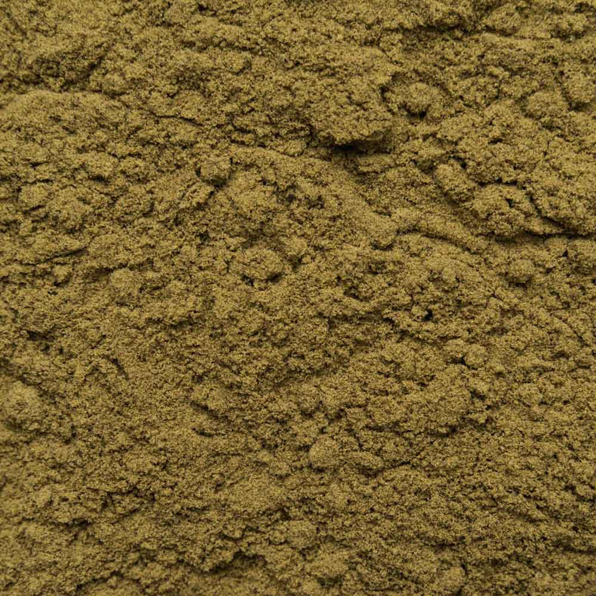 Proteine di canapa in polvere Bio | 1kg | massima qualità biologica | pacco vantaggioso da 1000g | dalla Baviera | confezionato e controllato in Germania | Biotiva