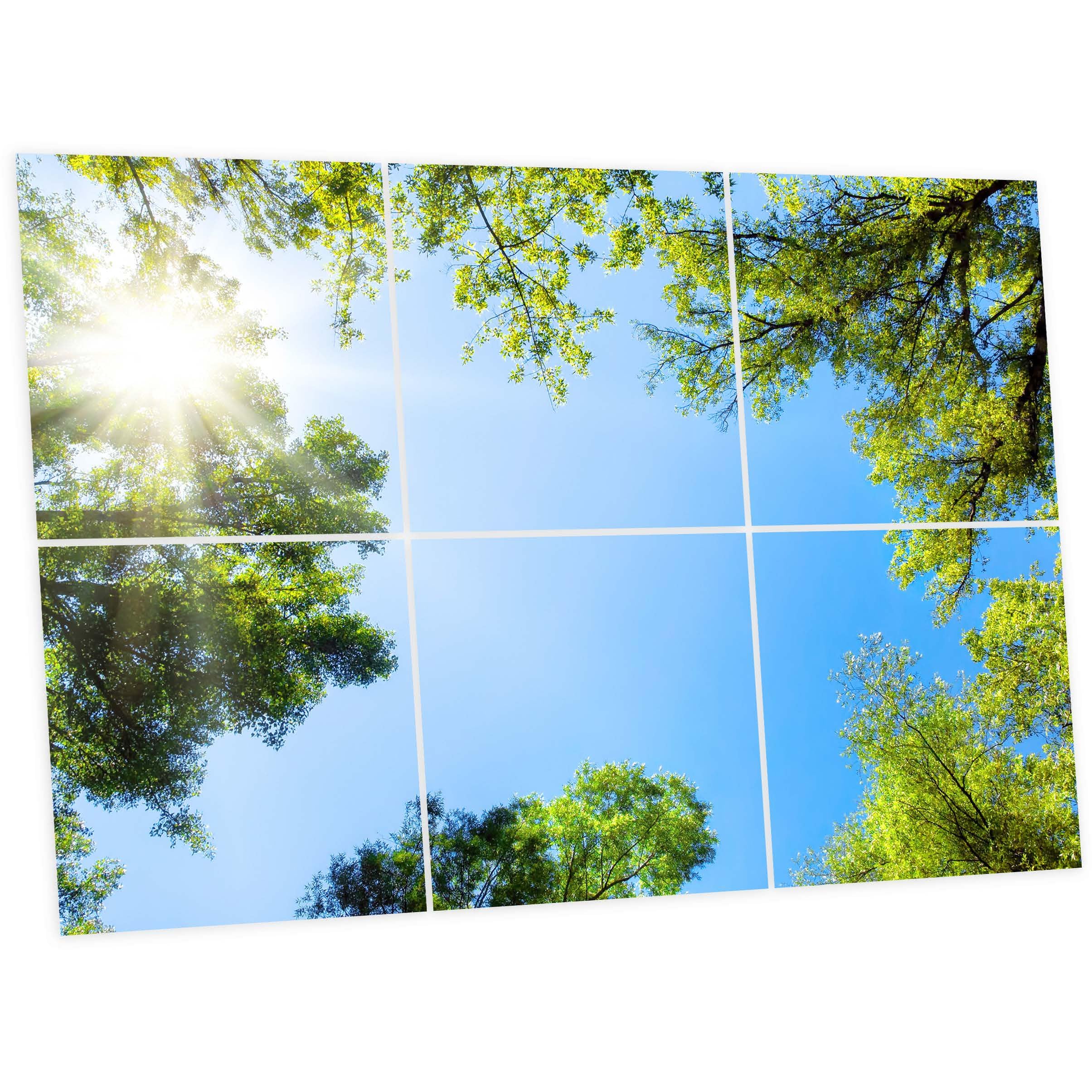 Générique Pack de 6 Dalles LED Imprimées 60x60 cm - Motif Mystère Forestier - Lumière Blanc Neutre 4000K - Panneaux Lumineux Plafond Bureau Salon Cuisine - Faciles à Installer