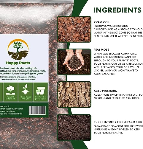 Miniatura 4 de Pink Princess - Tierra para macetas de filodendro (2 cuartos de galón)