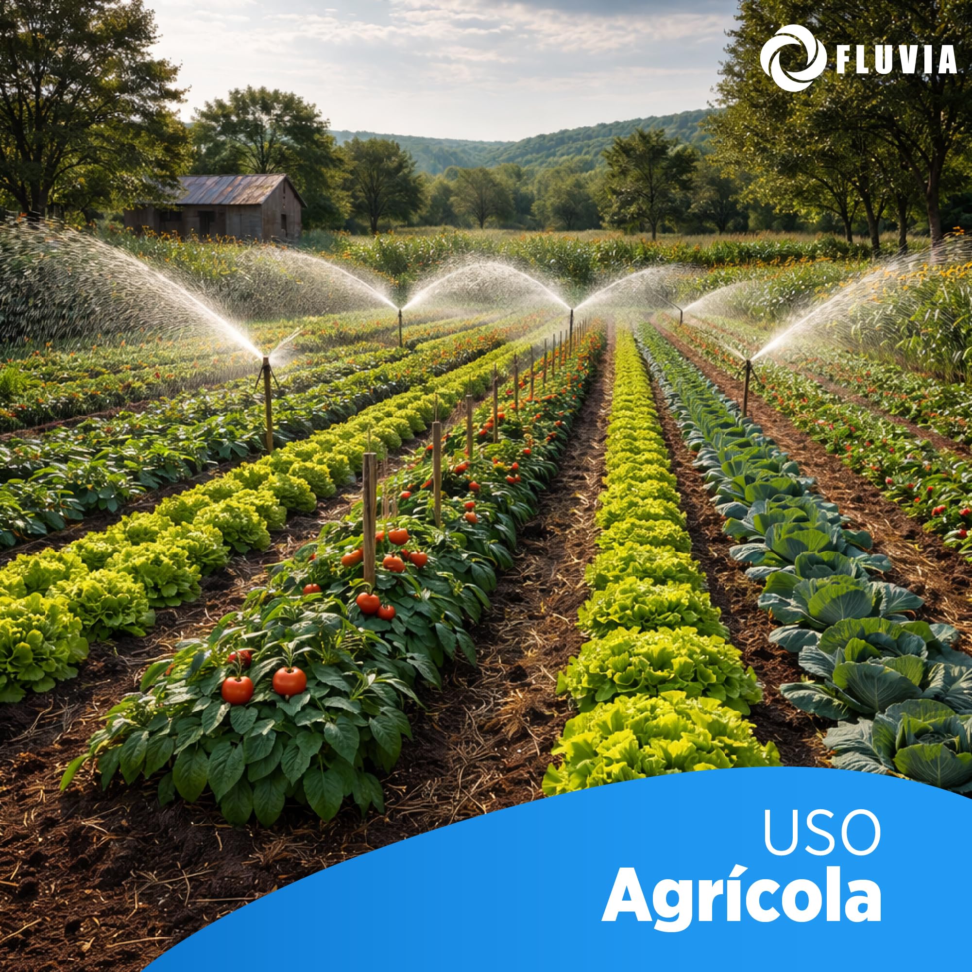 TE Igual Laton 20 mm | Conector Tuberia de Polietileno de 20 mm | Te igual para Tubo Polietileno Para Manguera Jardin, Deposito Agua, Llave De Paso Agua Riego, Potable