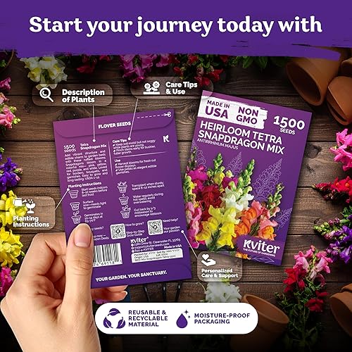 Miniatura 2 de KVITER 1,500 semillas mixtas de snapdragon tetra (Antirrhinum Majus)  Mezcla hereditaria y orgánica de snapdragon alto, semillas de jardín anual de