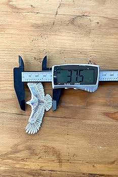 Amazon.co.jp: [ゴロクロ] 925 シルバー製 イーグル 大イーグル