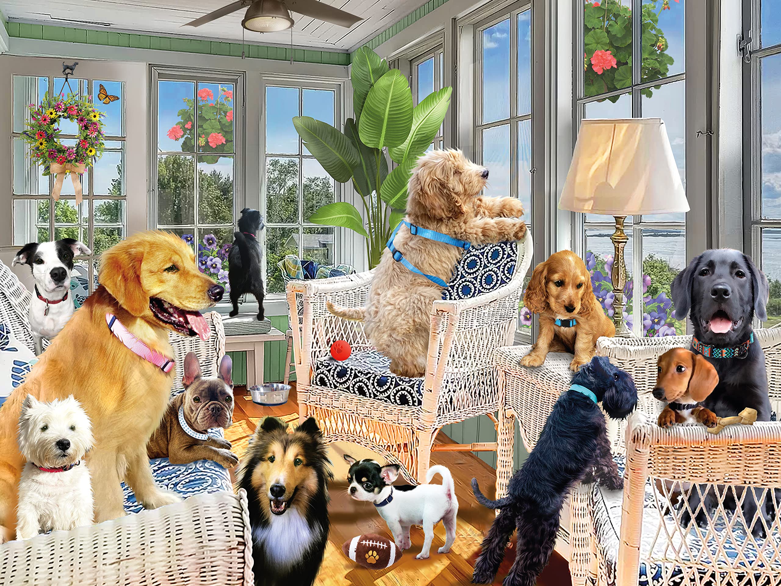 CeacoCeaco - Giordano Studios - Paws Gone Wild - Sunroom Pups - 500 Piece Jigsaw Puzzle