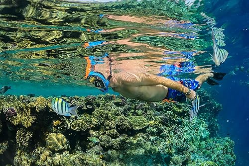 Miniatura 6 de OCEAN REEF - Aria QR + Máscara de esnórquel de liberación rápida - Máscara de esnórquel de cara completa - Visión submarina de 180 grados - 8