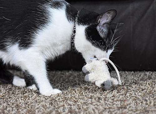 Vista 7 de Juguete para gato OurPets Play-N-Squeak, Ardilla, S, Ardilla