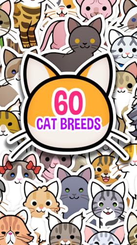 My Cat Album