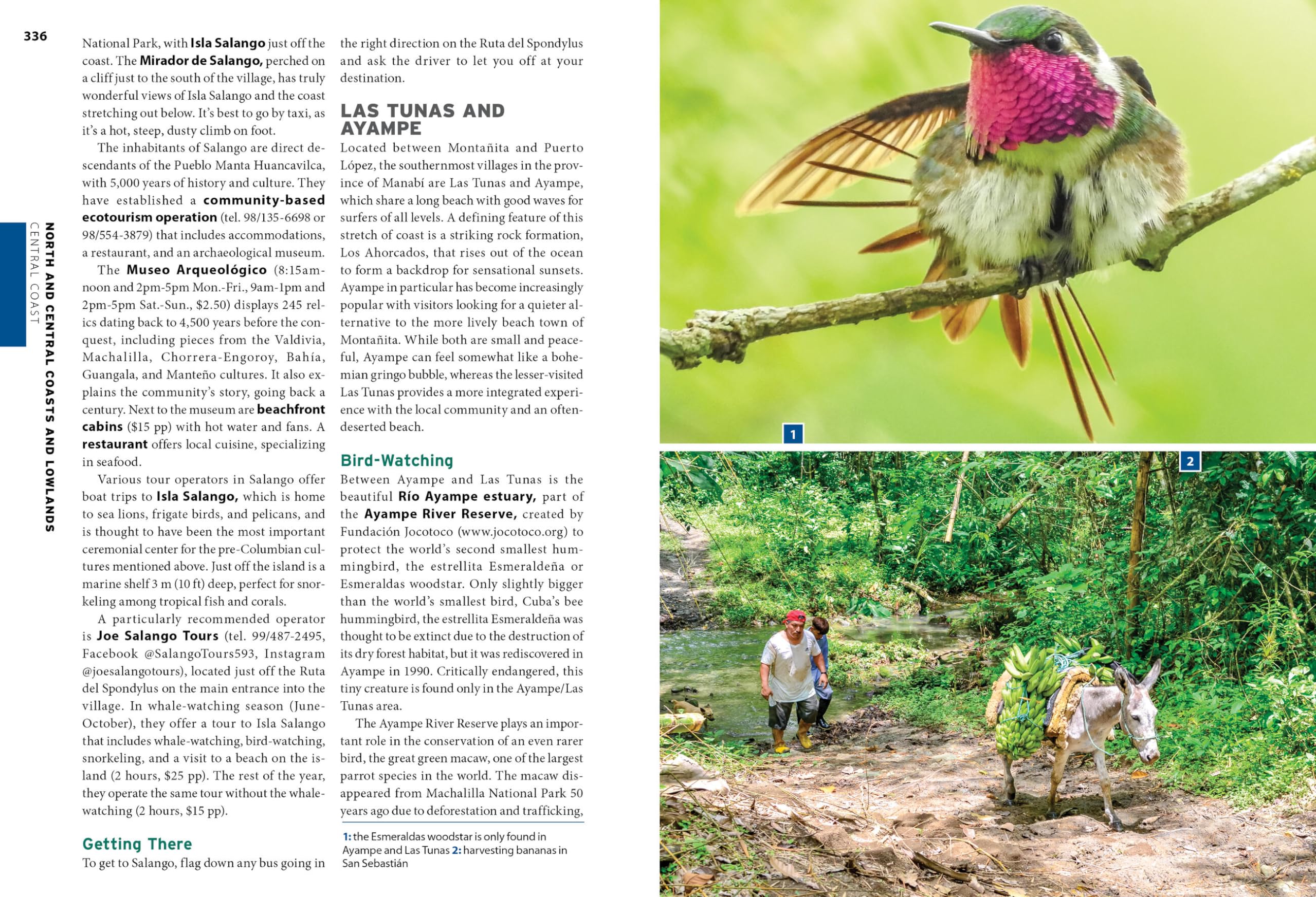 Moon Ecuador & the Galápagos Islands: Outdoor Adventure, Indigenous Culture, Sustainable Travel (Moon Latin America & Caribbean Travel Guide)