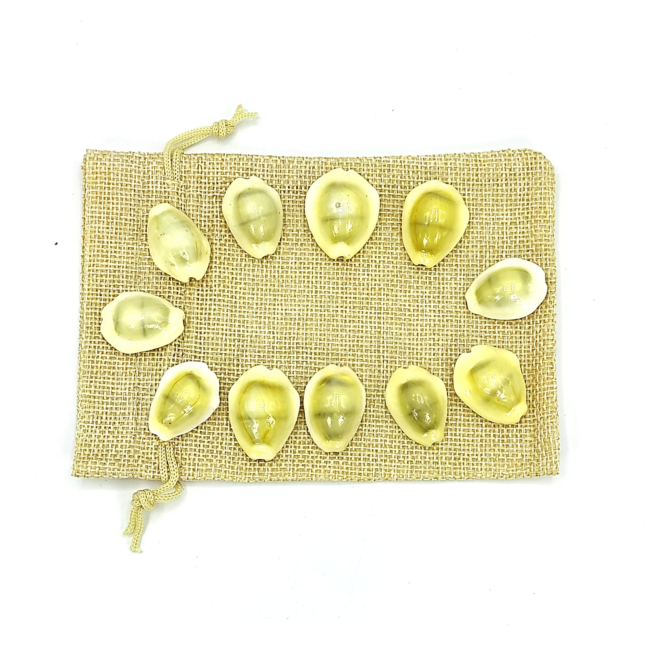 Plus Value Premium Yellow Lakshmi Kaudi | Peeli Kowdi Cowrie Sea Shell Pack of 11 pcs for Vastu Shastra, Remedies for Diwali Pooja, Temple Decor & Astrology