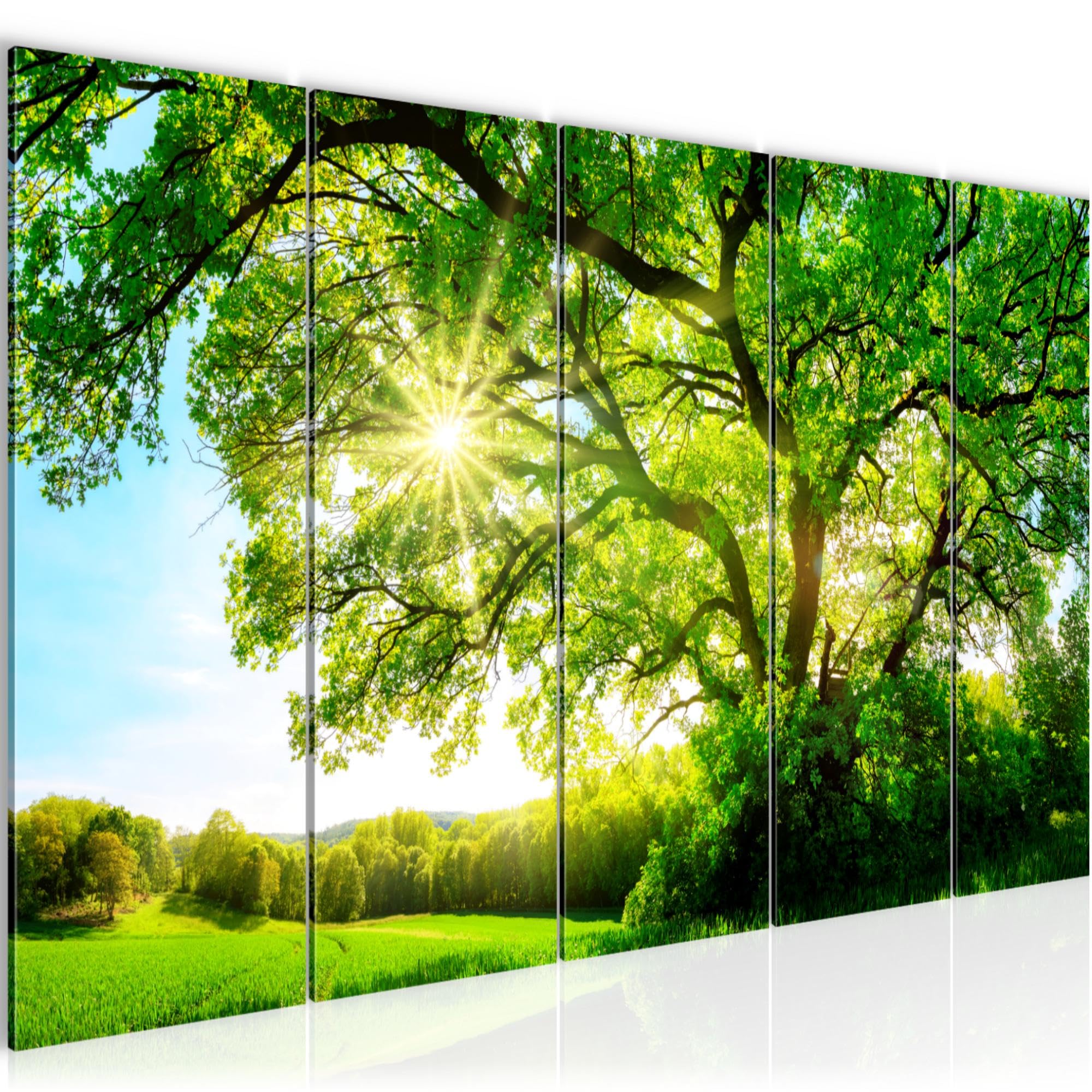 Amazon.de: Runa Art Wandbild Wald 200 x 80 cm Modern Bild auf